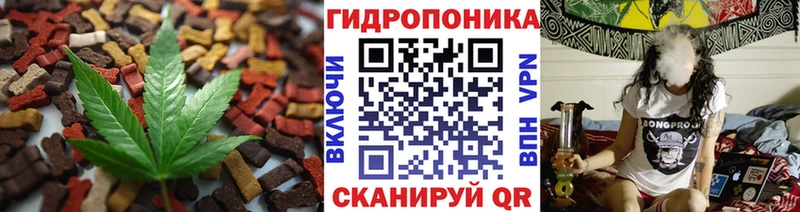 Canna-Cookies конопля  где продают наркотики  Петровск 