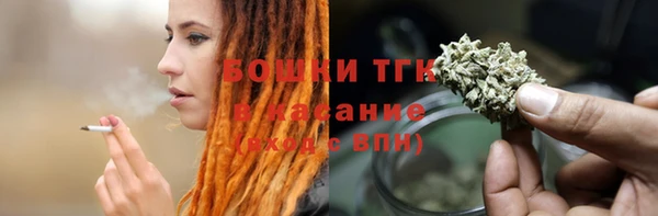 PSILOCYBIN Алексеевка