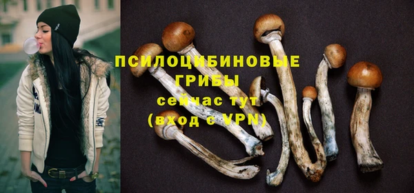 стафф Алзамай