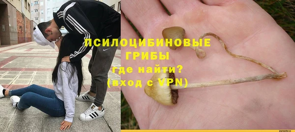 a pvp Корсаков