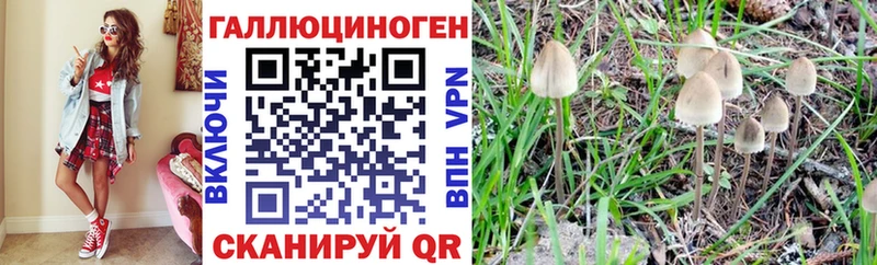 Псилоцибиновые грибы MAGIC MUSHROOMS  Петровск 