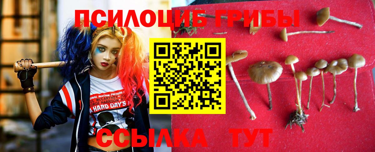 Галлюциногенные грибы прущие грибы Петровск